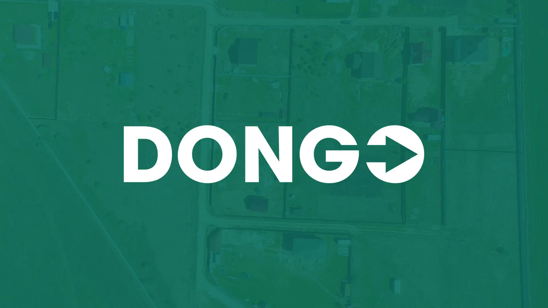 About dongo hero
